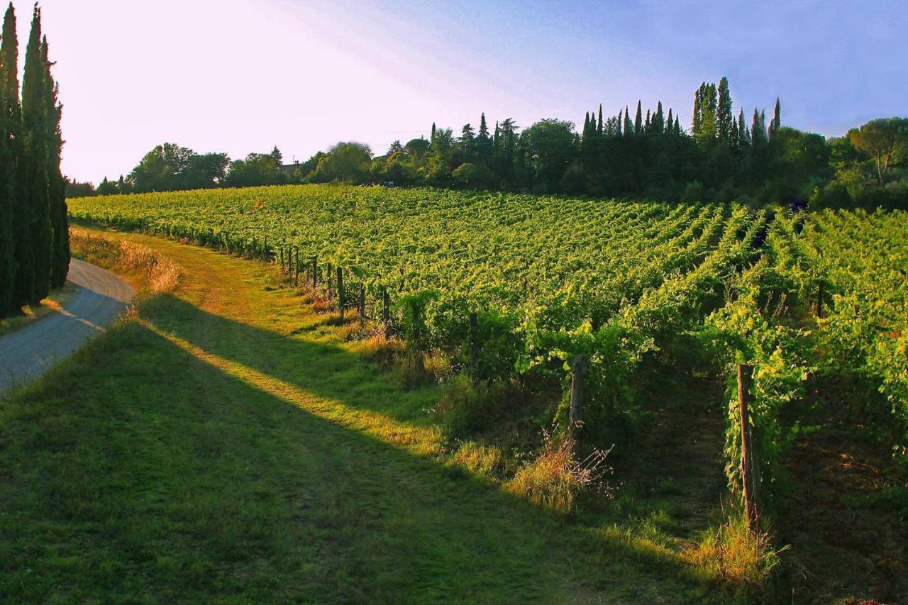 La Striscia Wine Resort Arezzo Kültér fotó